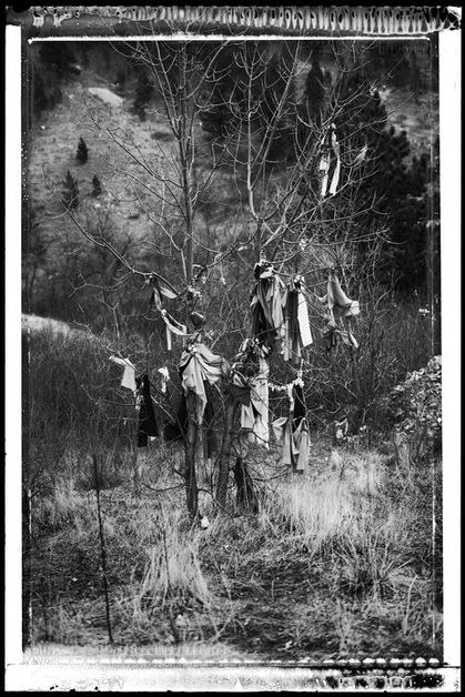 Tobacco Prayer Ties in Tree, Bear Butte, South Dakota